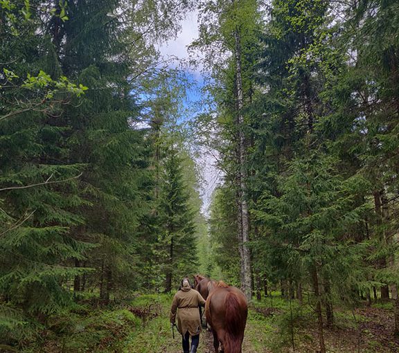 Jos metsään haluat mennä nyt…