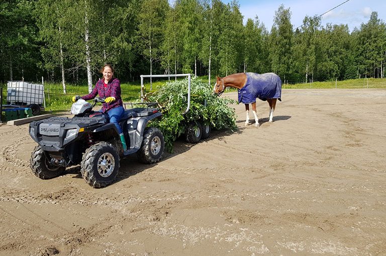 Kentän pohjaa huolletaan viikoittain mönkijällä ja lanalla