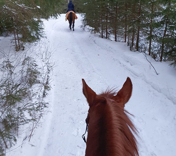 Mimmi-mamman maha kasvaa, mutta vauhti ei hyydy